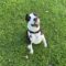 Arlo