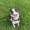 Arlo