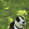 Arlo