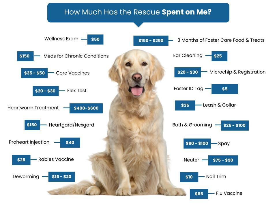 We're OK Foundation Fee Graphic (1)