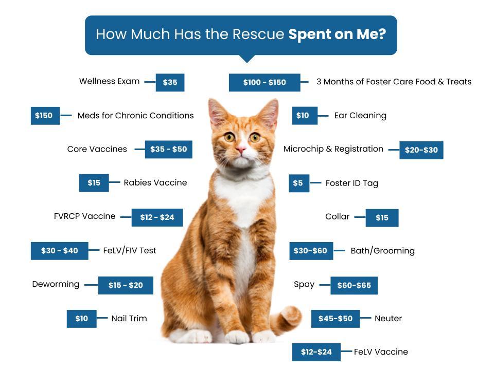 We're OK Foundation Fee Graphic