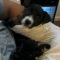 Tux