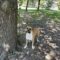 Lucy