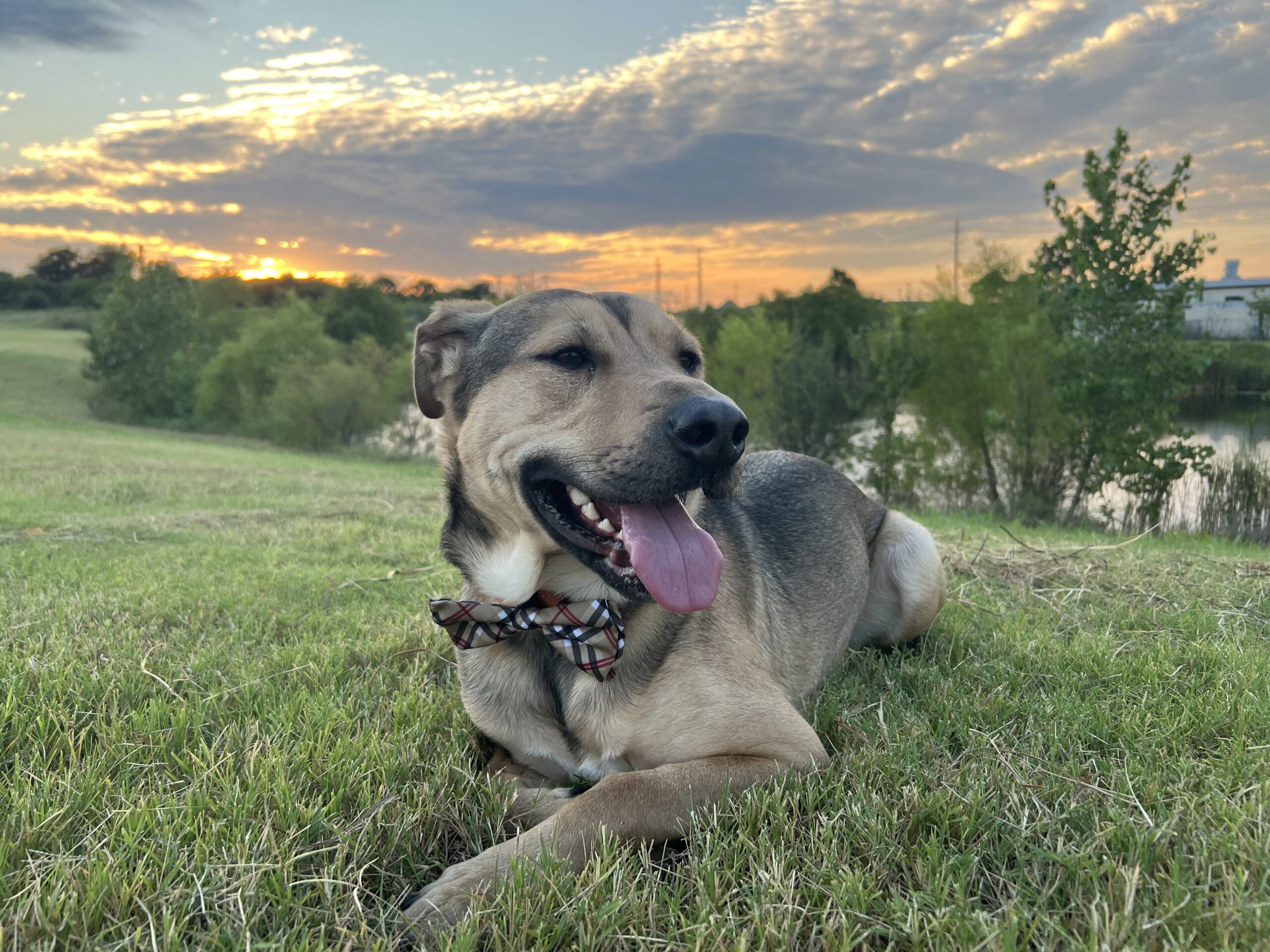 6F3CDE8D-0603-4DA2-8FB4-767086B01FB9