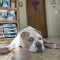 Rudy
